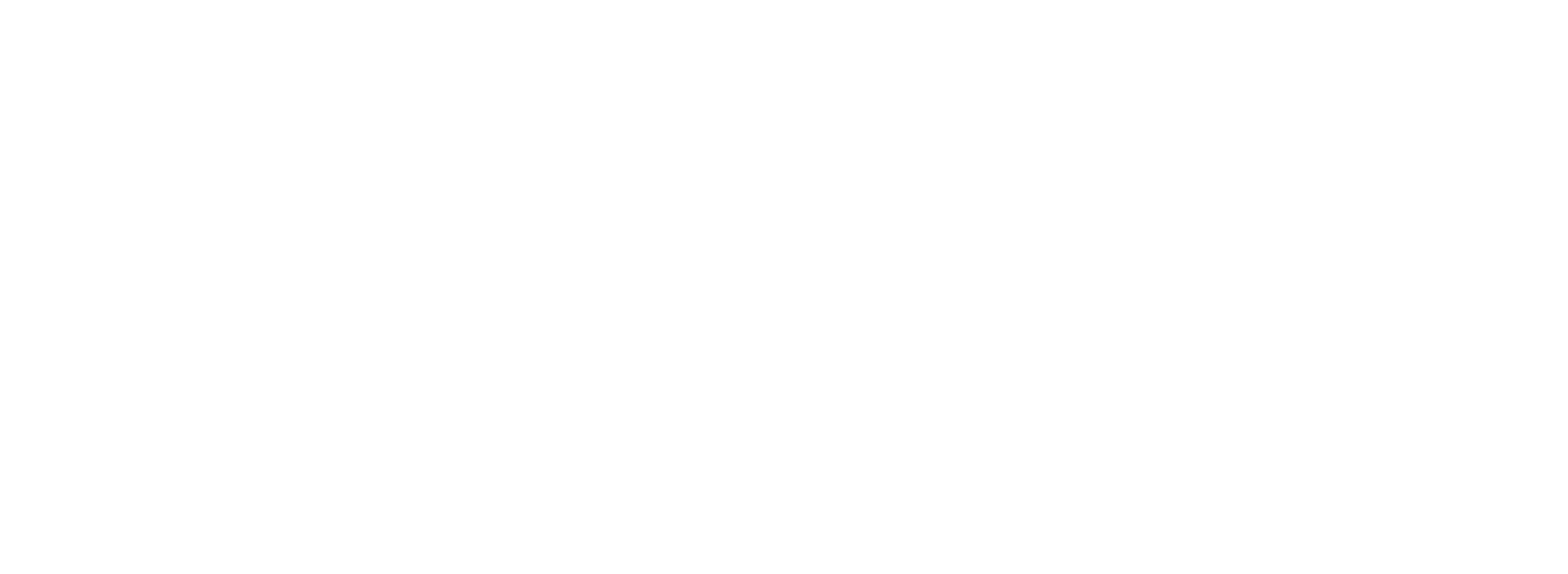 logo_BHG-white - cut